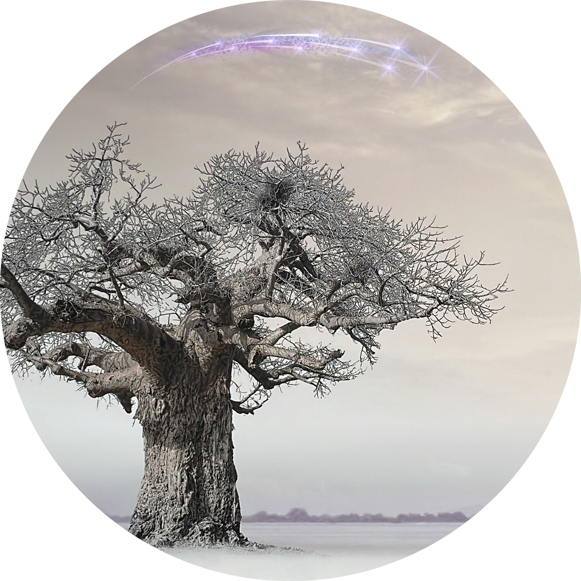 Circular-tree